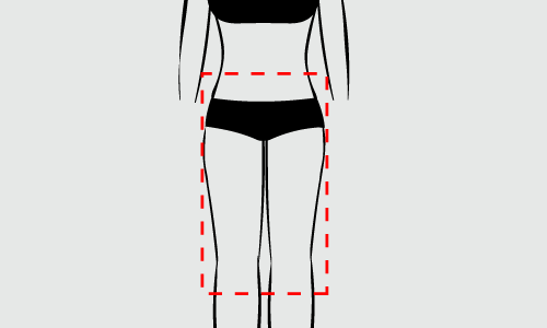 body shape & height guide